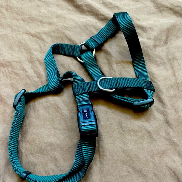 Avant- Green Small Dog harness - Picture 2 of 2